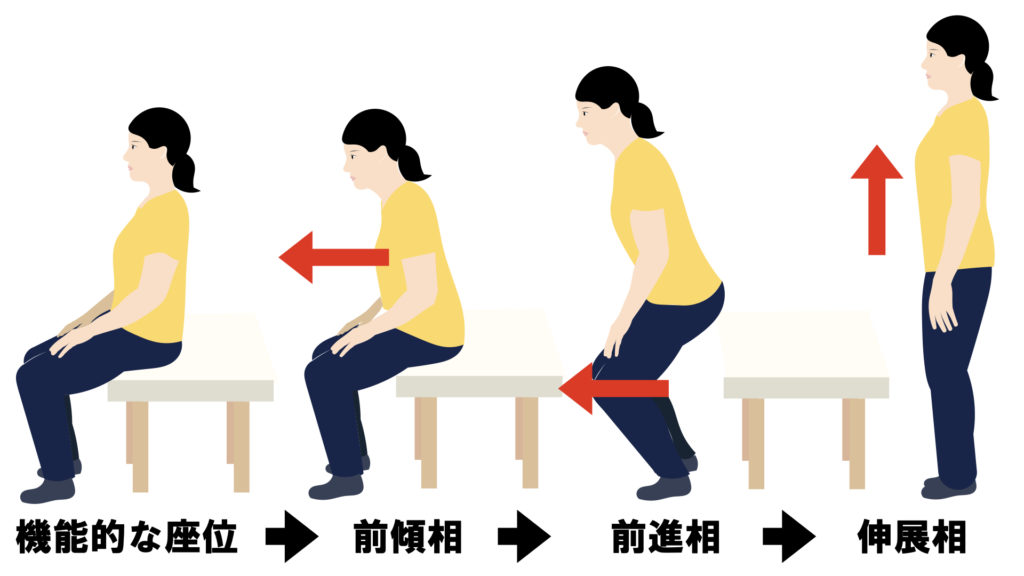 立ち上がり動作について 半熟セラピストの成長ブログ